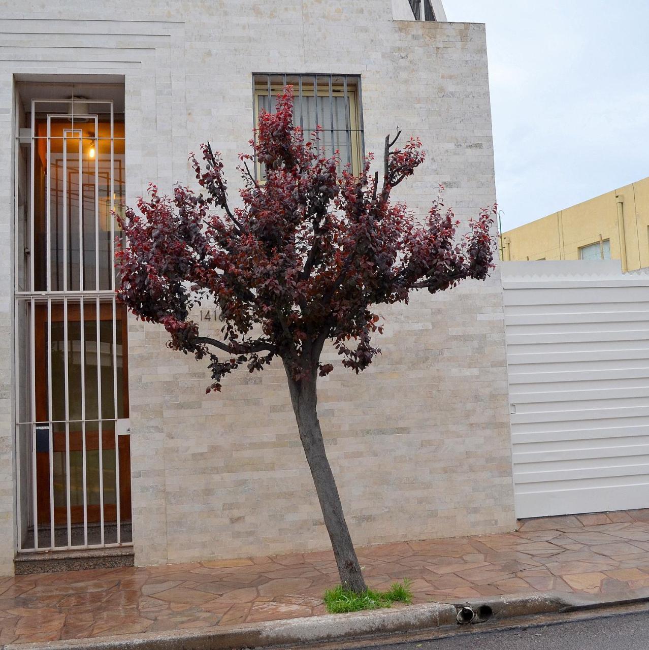 Vía Lavalle Suites San Luis Extérieur photo
